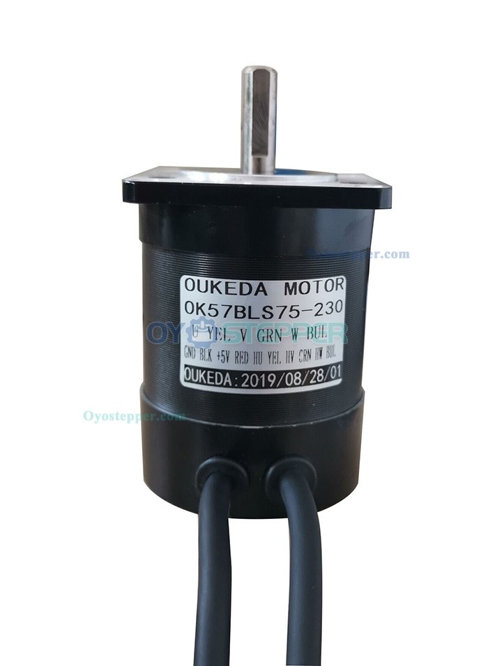 Oukeda Brushless DC Motor 2 Phase 22Ncm 24V 3000RPM Φ57mm BLDC Motor